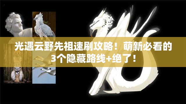 光遇云野先祖速刷攻略！萌新必看的3个隐藏路线+绝了！