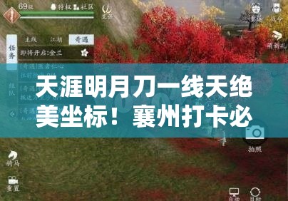 天涯明月刀一线天绝美坐标！襄州打卡必看攻略，藏宝点全公开🔥